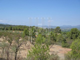 Terreno en venta en Tivissa