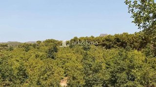 Casa en alquiler en Centro - El Castillo en Sagunto