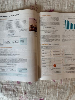 1 Bachillerato, Economía Revuela
