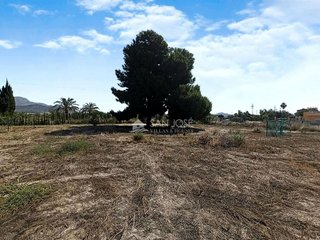 Terreno en venta en Novelda