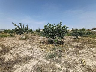 Terreno en venta en Novelda