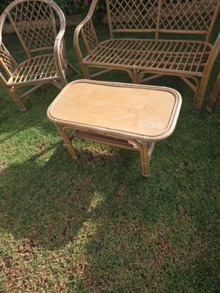 Conjunto Muebles Jardín Ratán y Madera
