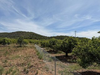 Terreno en venta en Les Cases d'Alcanar en Alcanar