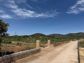 Terreno en venta en Les Cases d'Alcanar en Alcanar