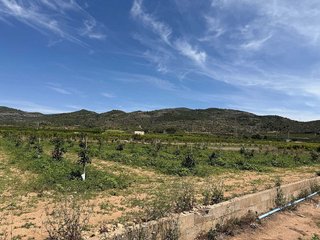 Terreno en venta en Les Cases d'Alcanar en Alcanar