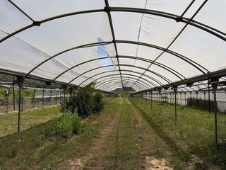 Terreno en venta en Les Cases d'Alcanar en Alcanar
