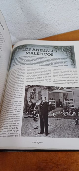 CINE DE TERROR
