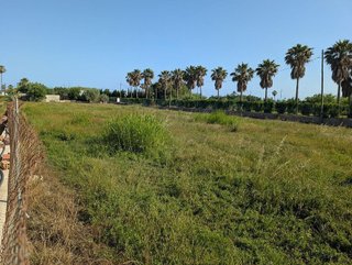 Solar en venta en Centro en Alcanar