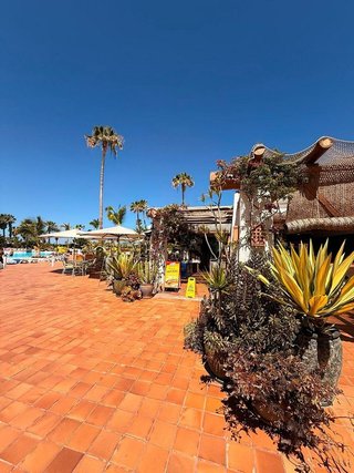 Piso en alquiler en Los Cristianos - Playa de las Américas en Arona