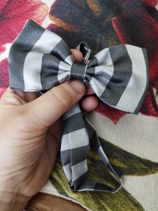 Set Papillon e Gemelli Grigio Argento