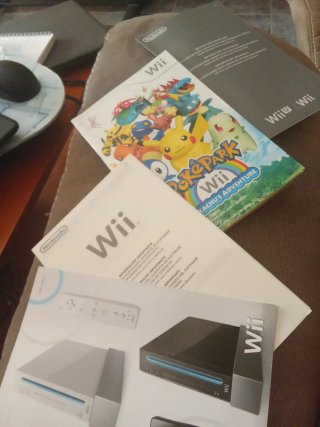 PokePark Wii: Pikachu's Adventure