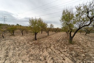 Terreno en venta en Tivissa