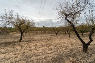 Terreno en venta en Tivissa