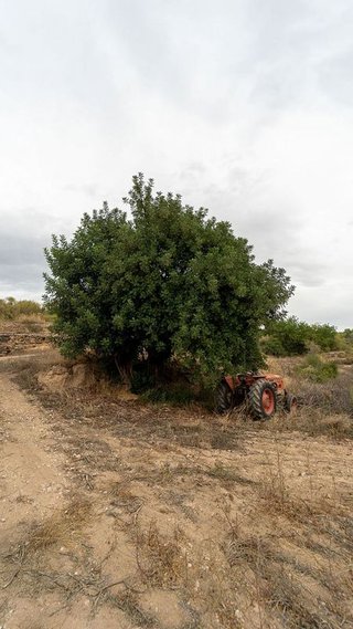 Terreno en venta en Tivissa