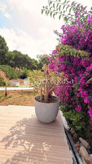 Casa en alquiler en Centro - El Castillo en Sagunto
