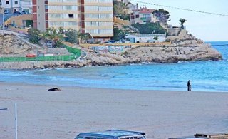 Piso en alquiler en La Cala de Villajoyosa en Villajoyosa/Vila Joiosa (la)