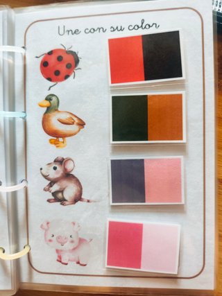 Libro interactivo animales, velcros yplastificado