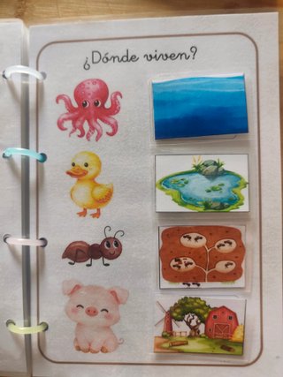 Libro interactivo animales, velcros yplastificado