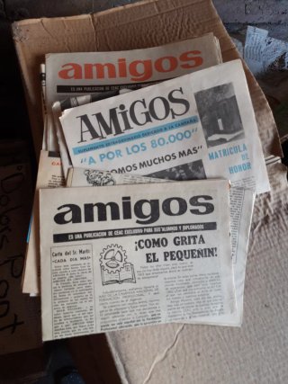 Revista amigos