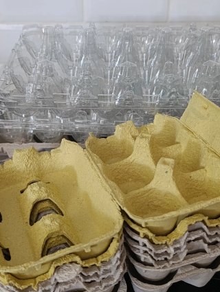 Caixas de Ovos de Papel e Plástico