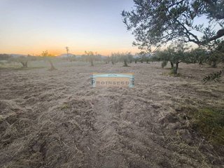 Terreno en venta en Centro en Alhaurín el Grande