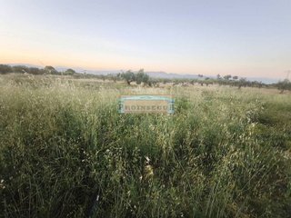 Terreno en venta en Centro en Alhaurín el Grande
