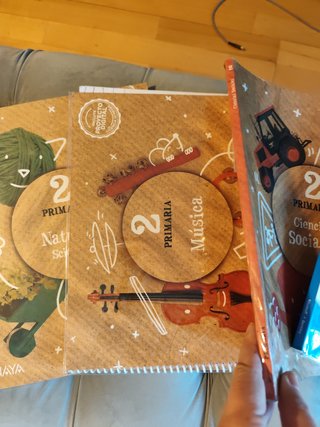 Lote libros segundo primaria