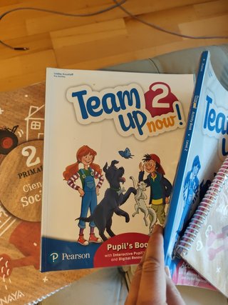 Lote libros segundo primaria