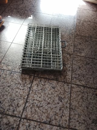 Jaula Transportin Animales Galvanizado Resistente