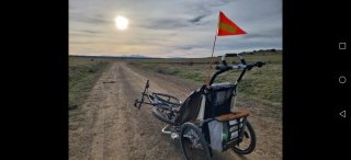 Carro Thule Chariot CX1