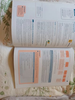 Iniciación a la actividad emprendedora y empres...