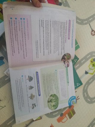 Libros Santillana 4 Primaria Construyendo mundos
