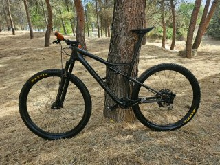 Specialized carbono 29 pulgadas doble suspension