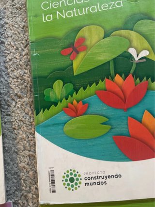 CIENCIAS SOCIALES CAST-LEON 3 PRIMARIA CONSTRUY...