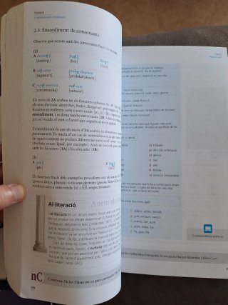 Sentits. Llengua catalana 2 Batxillerat