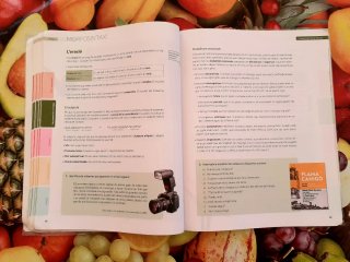 Puntal 3. Llengua catalana i Literatura 3 ESO