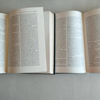 Dizionario delle Scienze Economiche - Vol. I e II