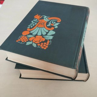 Dizionario delle Scienze Economiche - Vol. I e II