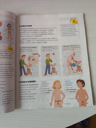 Proyecto: FanFest. Ciencias de la Naturaleza 3 ...