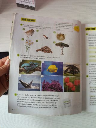Proyecto: FanFest. Ciencias de la Naturaleza 3 ...