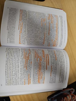Constitucionalismo Multinivel (6ª Edición): Derech