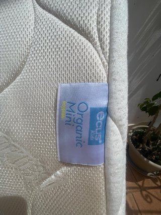 Tutti Bambini CoZee Bedside Crib + Ecus Kids Organ