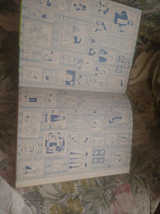 TINTIN Y LOS PICAROS