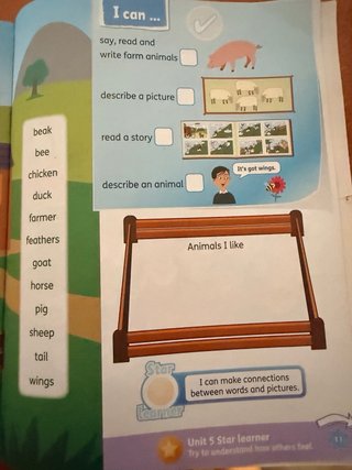 Libro All About Me