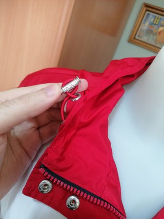 Tommy unisex S/M + regalo
