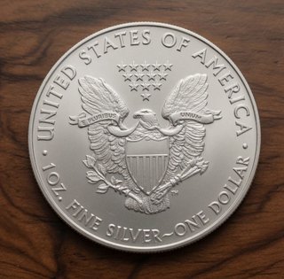 Moneda de Plata One Dollar