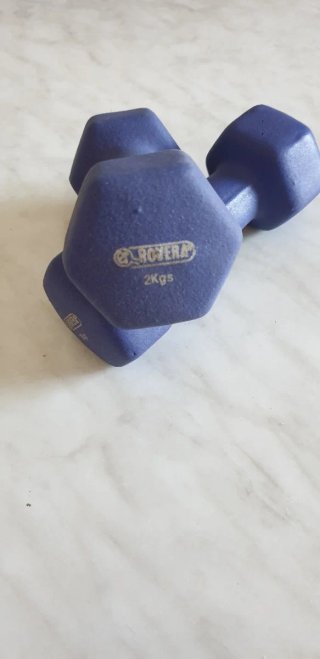 Pesi per palestra rovera