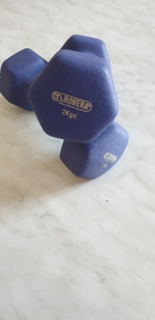 Pesi per palestra rovera