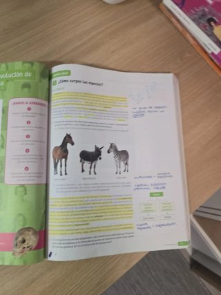 Biología y Geología, 4 Secundaria, Andalucía Re...