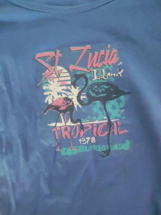 Camiseta Estampada Flamenco St. Lucia Tropical